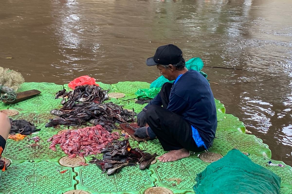 Bahaya Mengonsumsi Ikan Sapu-Sapu: 6 Risiko Kesehatan yang Perlu Anda Ketahui