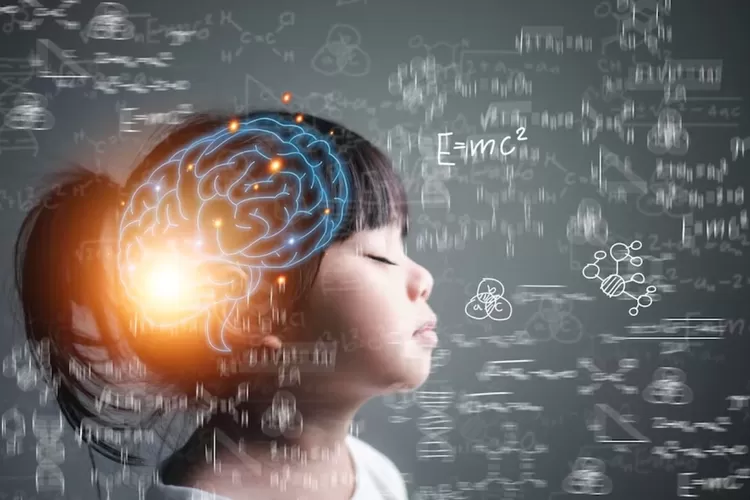 Rekomendasi Vitamin Otak Terbaik di Apotek untuk Tingkatkan Daya Ingat dan Konsentrasi